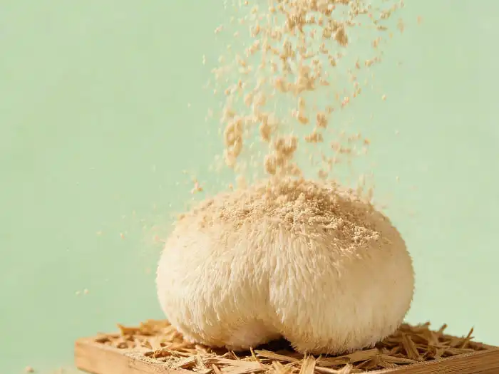 Organic Hericium Erinaceus Powder: How It Supports Brain and Nerve Health?